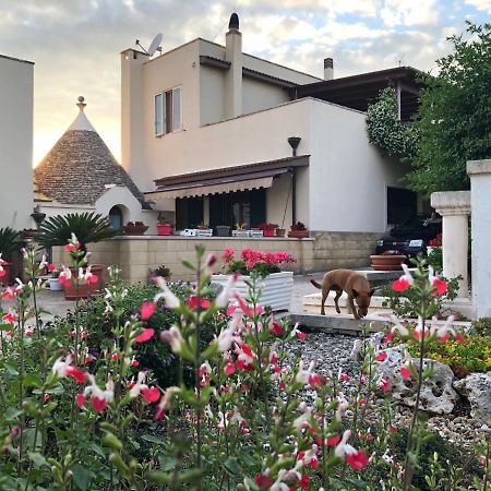 Casa Delle Rondini Bed & Breakfast Alberobello Exterior photo