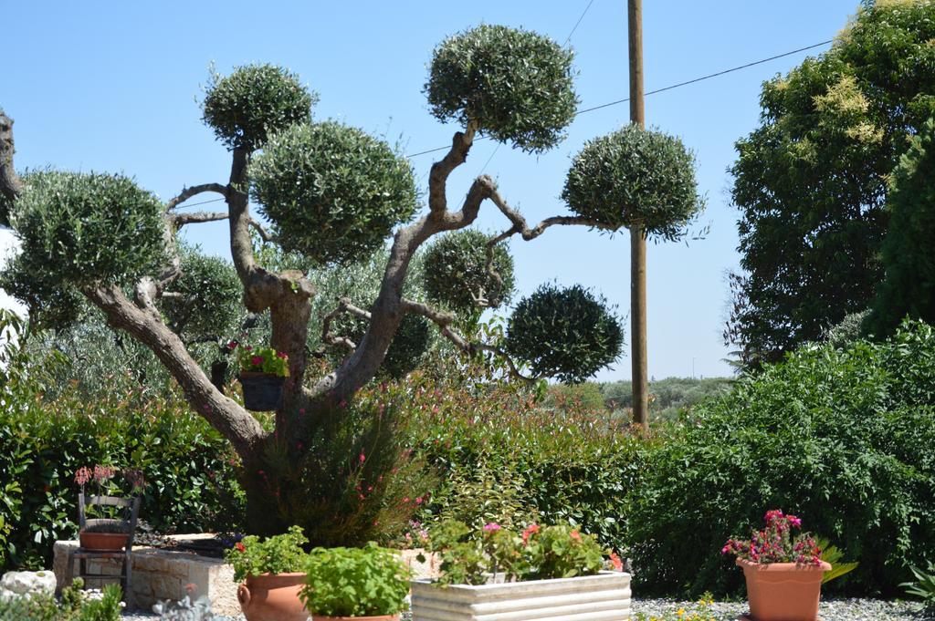 Casa Delle Rondini Bed & Breakfast Alberobello Exterior photo