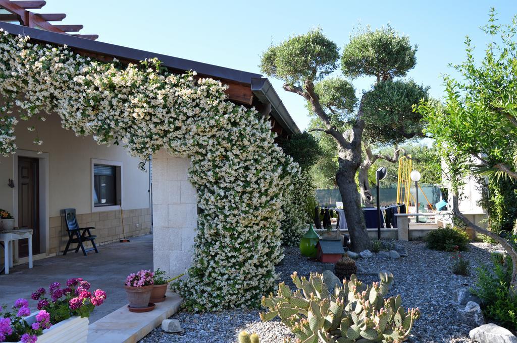Casa Delle Rondini Bed & Breakfast Alberobello Exterior photo